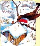 зима птица на ветке