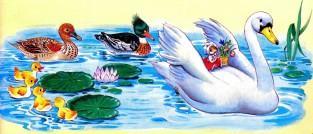 лебедь утки на озере воде  пруду