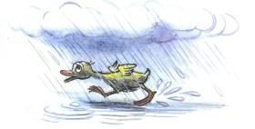 Сказка: Однажды утром (иллюстрации: Сутеев В.) утенок под дождем в луже