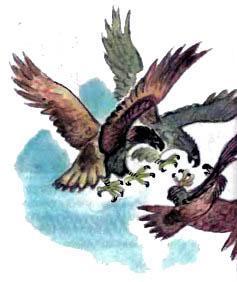 Огненный бог Марранов (сказка-повесть) битва орлов в небе