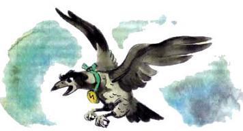 ворона Кагги-Карр