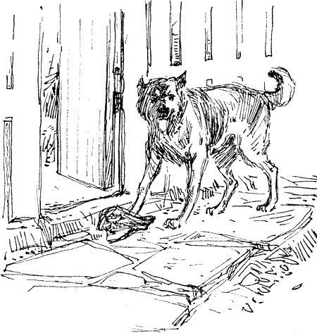 Огонь в затемненном городе (повесть) img11