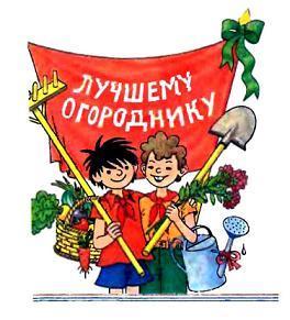 лучшему огороднику