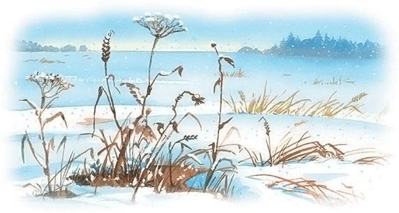 Охота пуще неволи