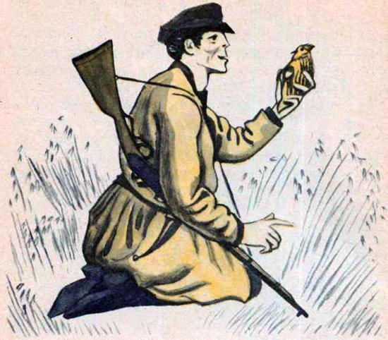 Охотник и перепел (басня) Охотник и перепел