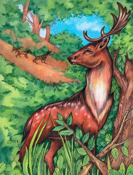 Олень Актеон Олень Актеон