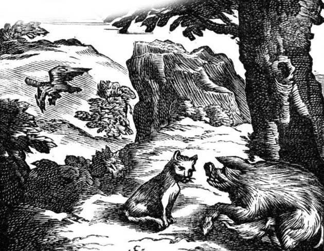 Орел, дикая свинья и кошка (басня) Орел, дикая свинья и кошка