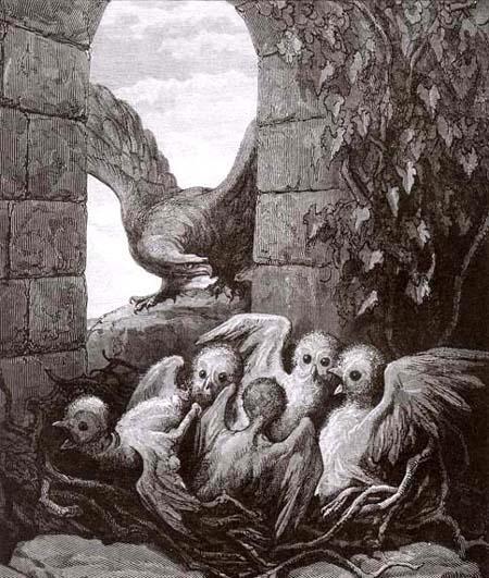 Орел и сова