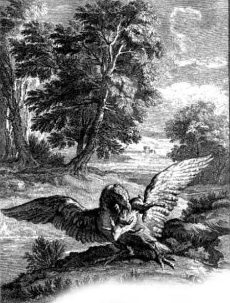 Орлица и жук (басня) Орлица и жук