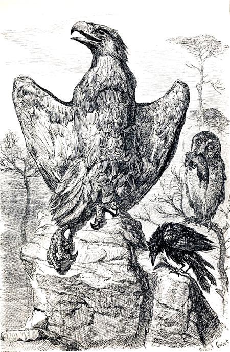 Орёл и ворона