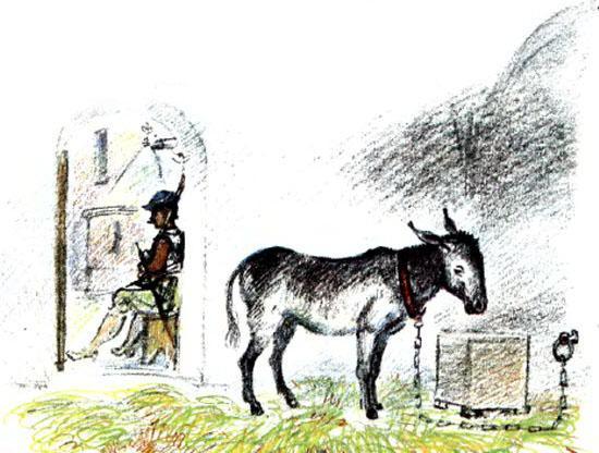 Ослиная шкура 5