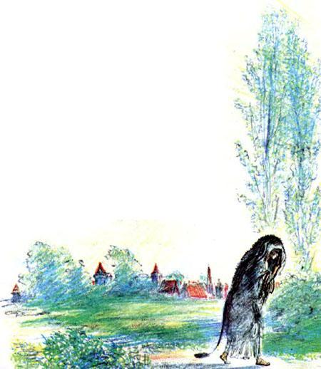 Ослиная шкура 9