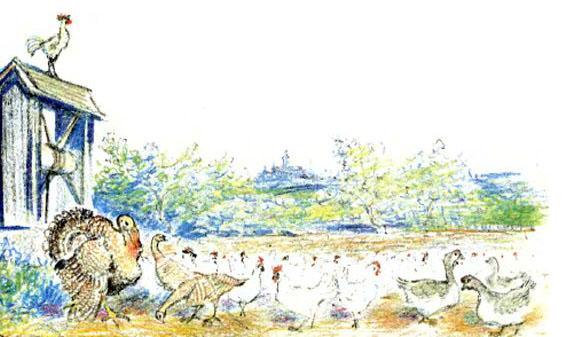 Ослиная шкура 26