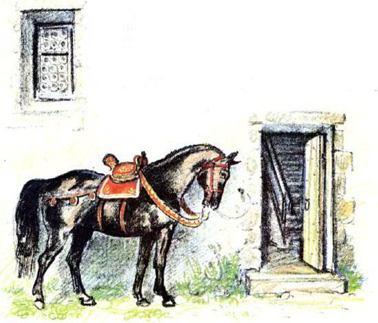 Ослиная шкура 20