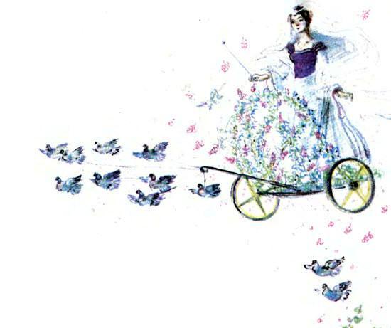 Ослиная шкура 7