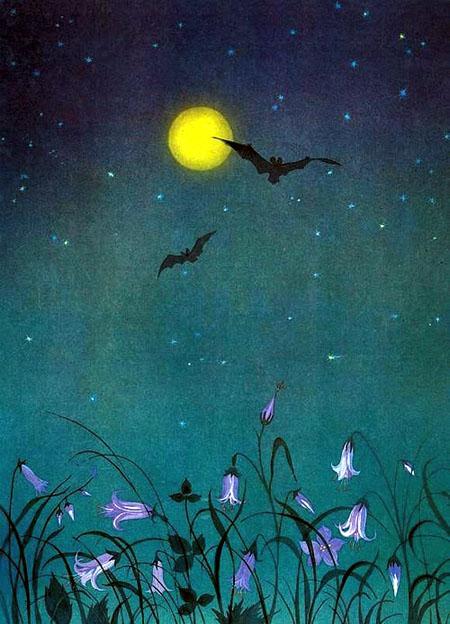 Ослиная шкура 42