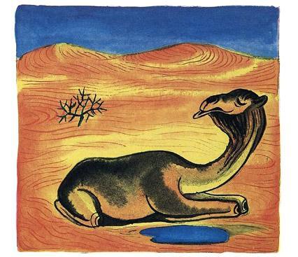 безгорбый верблюд