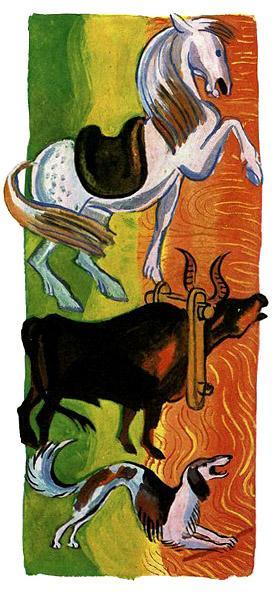 домашние животные