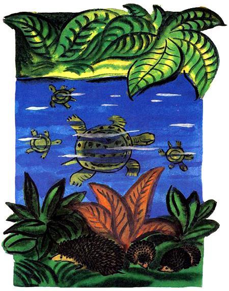 Откуда взялись броненосцы Откуда взялись броненосцы