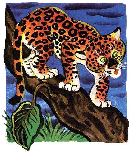 Откуда взялись броненосцы ягуаренок