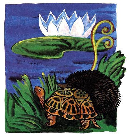 Откуда взялись броненосцы черепаха и дикобраз