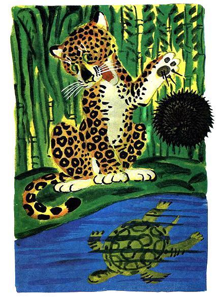 Откуда взялись броненосцы ягуар и черепаха