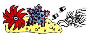 Отшельник и Роза