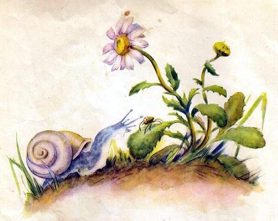 паучок и слизняк