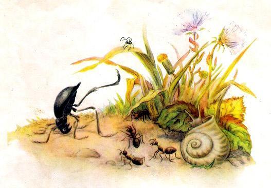 на чёрного жука-медляка напали муравьи. Жук стал на голову и ядовитой струйкой отстреливается от врагов