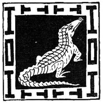 Паук и кибунго