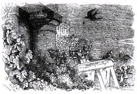 Паук и ласточка (басня) Паук и ласточка