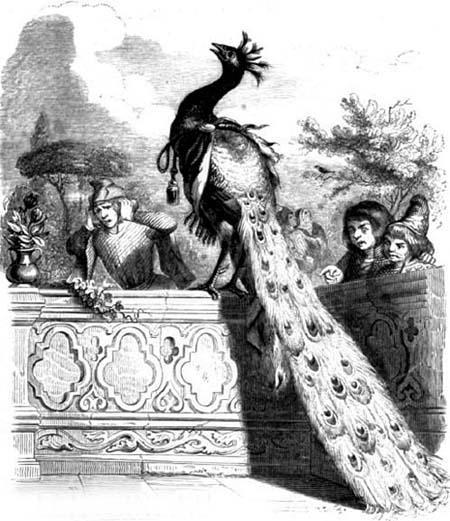 Павлин, жалующийся Юноне