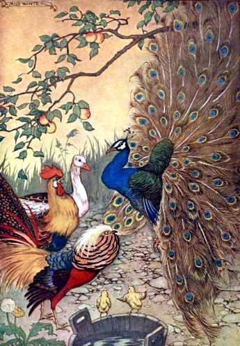 Павлин и журавль