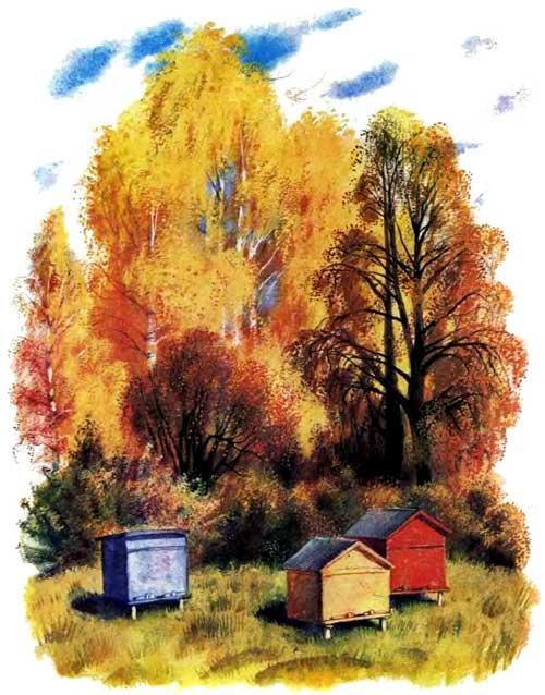 пасека в лесу улей