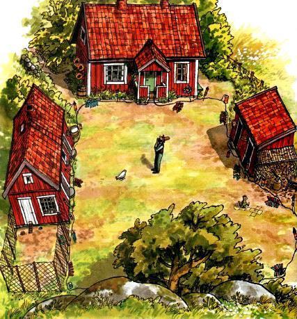 Петсон и Финдус