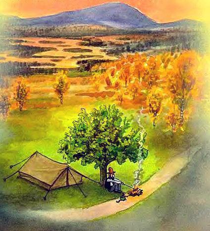 Петсон и Финдус