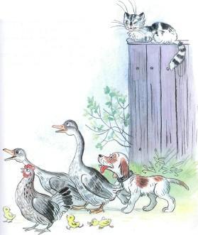 гуси курица собака кот во дворе