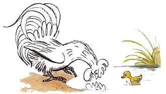 Петух и Краски (сказка) Петух и Краски