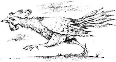 Петух и лиса 082