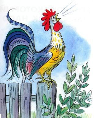 петух на заборе