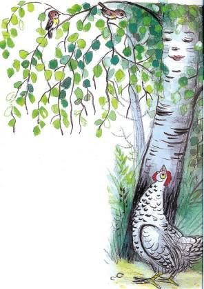 Сказка: Петушок в желтых штанишках и курочка в рябеньком платьице (иллюстрации: Сутеев В.) курица курочка у дерева смотрит вверх