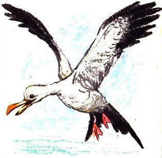 Пингвинёнок