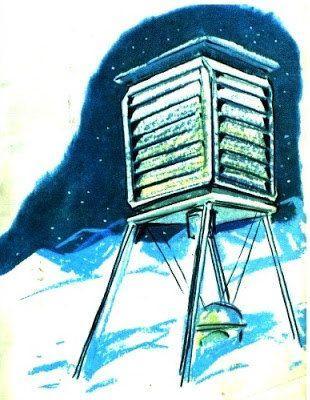 Пингвинёнок