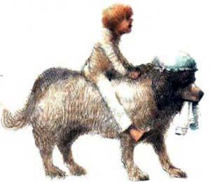 мальчик верхом на собаке