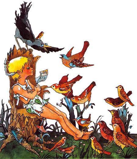 Питер Пэн в Кенсингтонском Саду (повесть) Питер Пэн и птицы