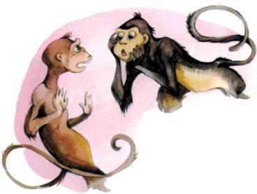 Китайская народная сказка: Платок нищего две обезьяны