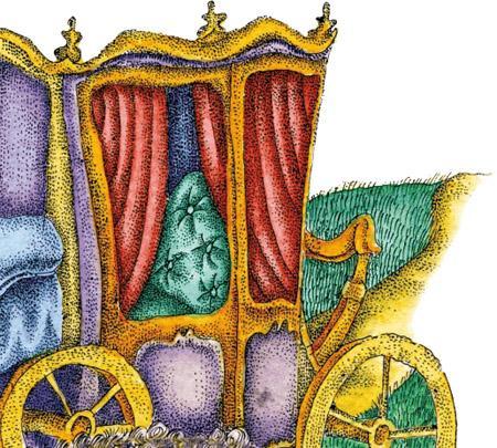 Плешивая крыса 39