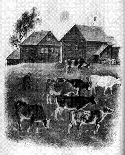 По лесной дороге