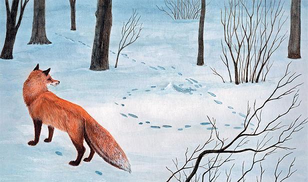 Снежная книга