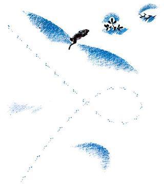 следы на снегу и заяц